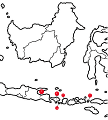 Destination Additional Image